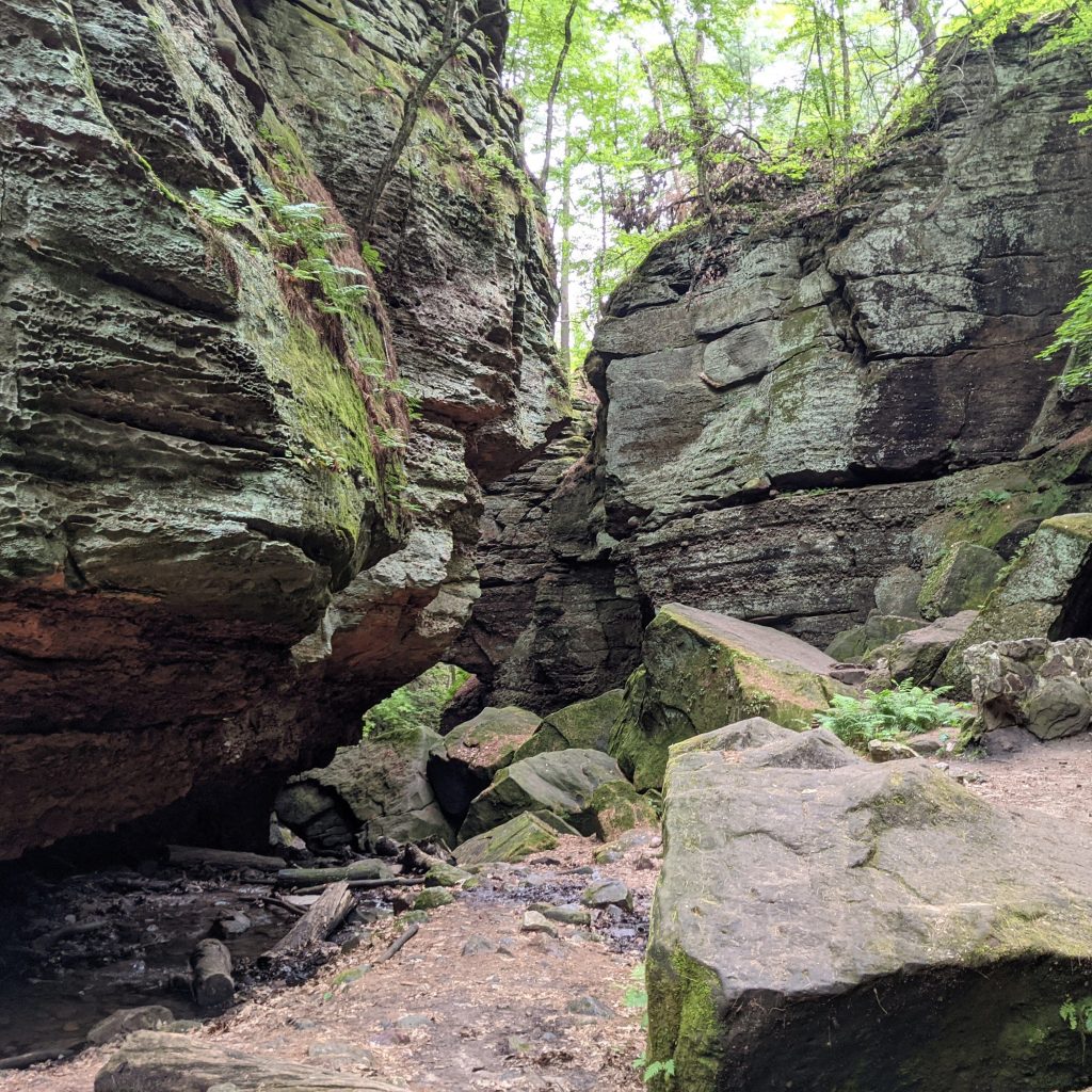 An image of a rocky landscape from the Palfrey's Glen hike. There are multiple massive mossy boulders and a creek to one side. You cannot see most of the sky because the bulders are so large. 